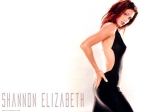 Shannon Elizabeth Wallpaper 06.jpg